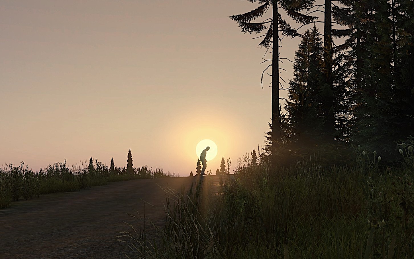 Full-Sized Image